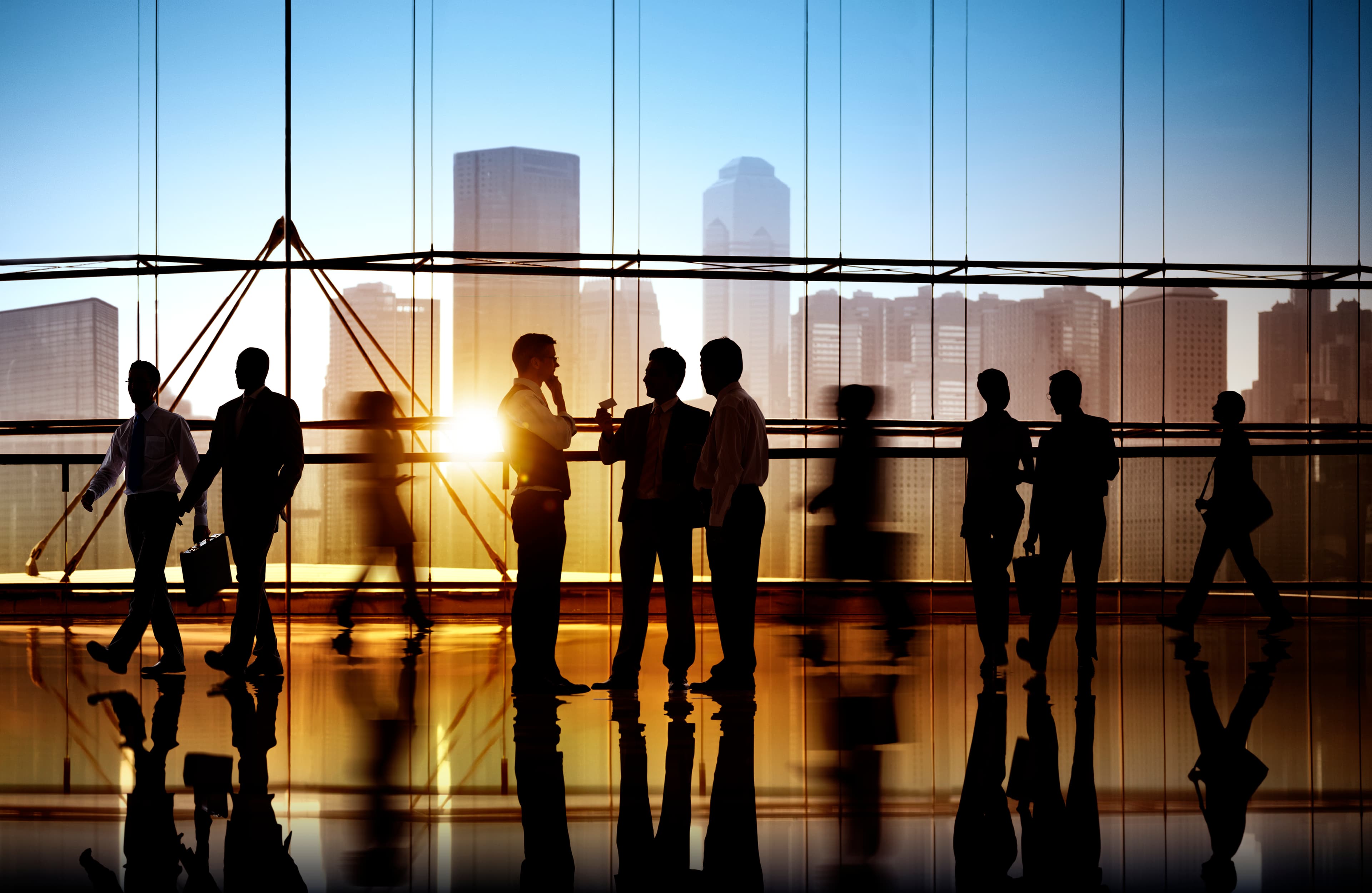 Altiora Infotech — About Us